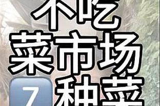 game total shogun offline Ảnh chụp màn hình 3
